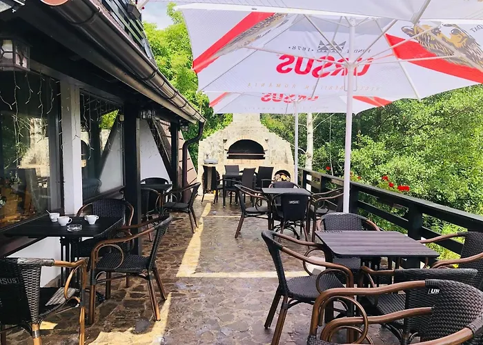 Pensiunea Ursuleț Bran Bran 